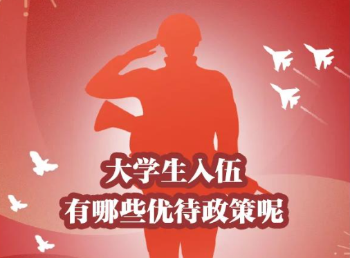 普通高校新生应征入伍宣传单